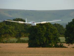 A glider landing in front of trees.