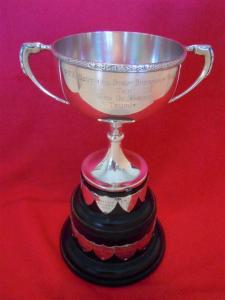 A silver cup trophy mounted on a base with attached shields.